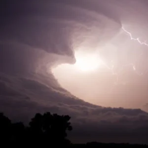 باد های محلی بندرگناوه