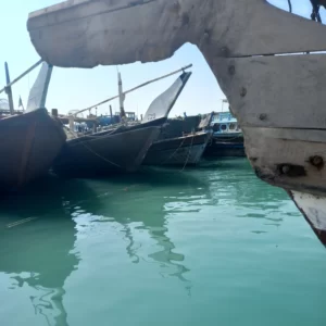 بندرگناوه کجاست و چگونه بندری میباشد؟