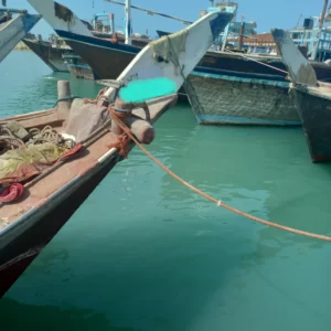 بندرگناوه کجاست؟