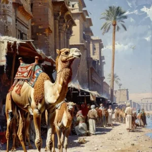 کاروان قدیمی در گناوه