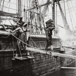 شیوه های زندگی مردم بندرگناوه