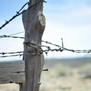 سیمای منطقه گناوه