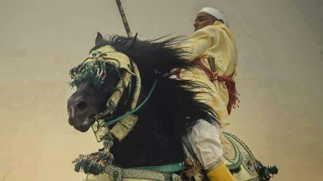 شخصیت اساسی بندرگناوه