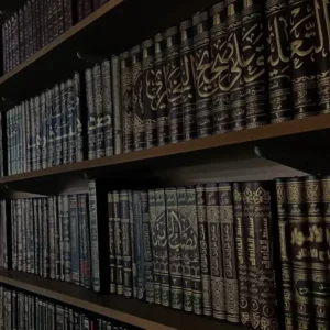 بندرگناوه در کتاب تاریخ