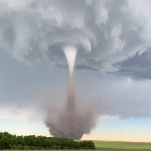 باد های محلی جنوب کشور