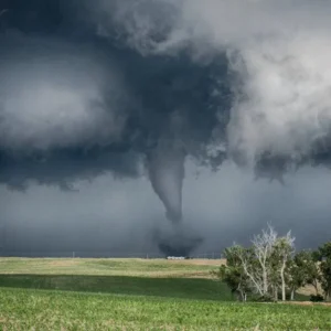 باد های محلی جنوب کشور