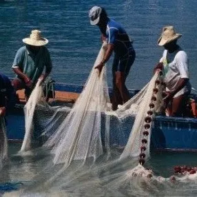 آموزش ماهیگیری در جنوب کشور