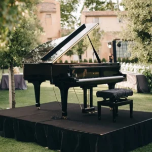 آهنگ های عروسی در بندر گناوه