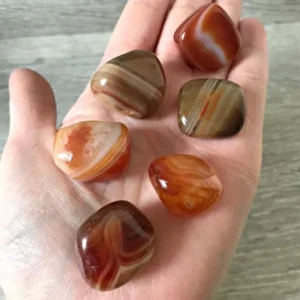 مهره خطرناک