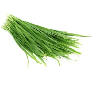 گیاهان دارویی منطقه گناوه