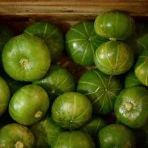 گیاهان دارویی منطقه گناوه