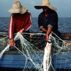 شیوه های صید ماهی در جنوب کشور