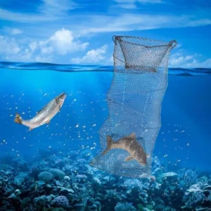 تله های ماهیگیری در جنوب