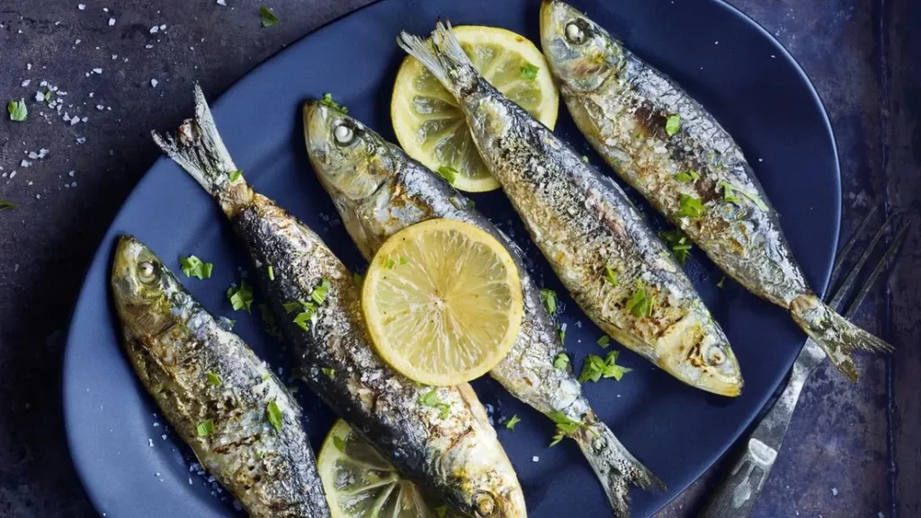 لیست بهترین ماهی های بندرگناوه